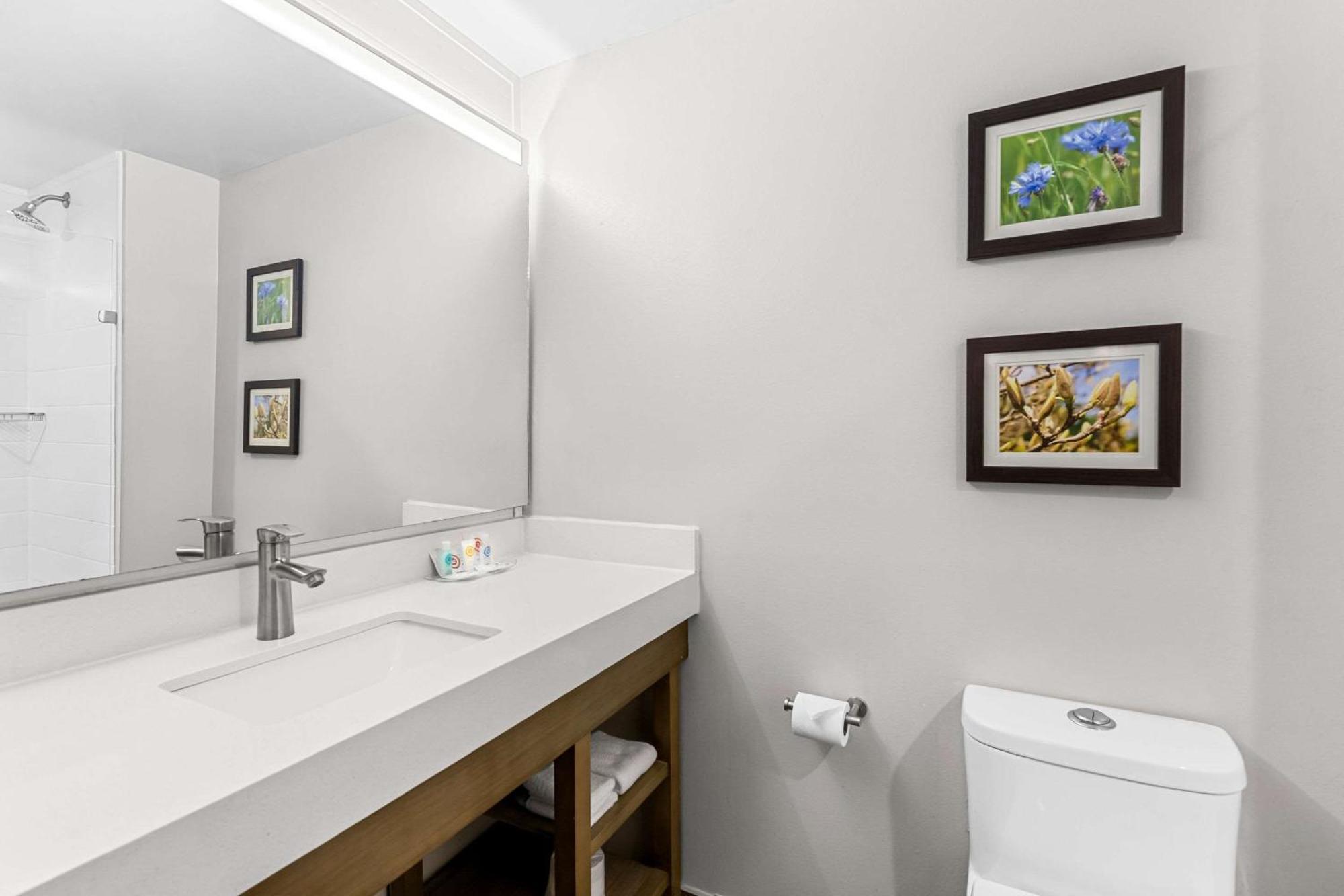 Comfort Suites Κολούμπια Εξωτερικό φωτογραφία